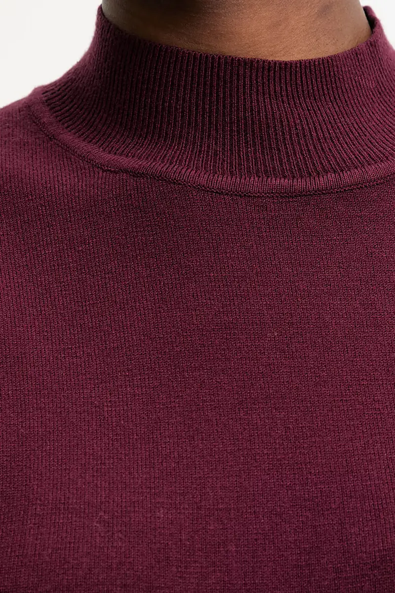 maglione in cashemire Granata miniatura 5