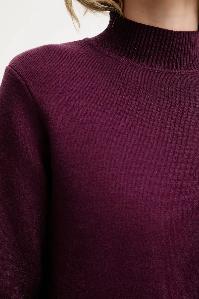 maglione in cashemire Granata miniatura 5