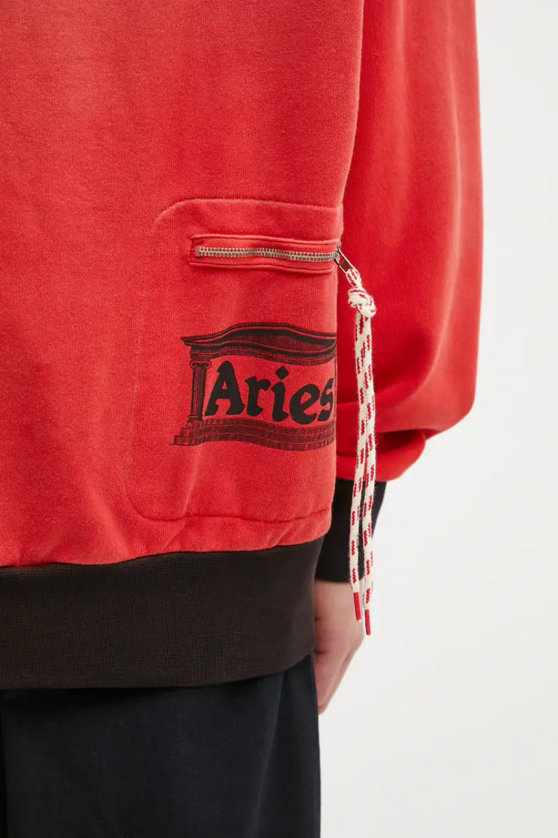 felpa in cotone Sunbleached Premium Temple uomo colore rosso con cappuccio AR2002604 miniatura 5