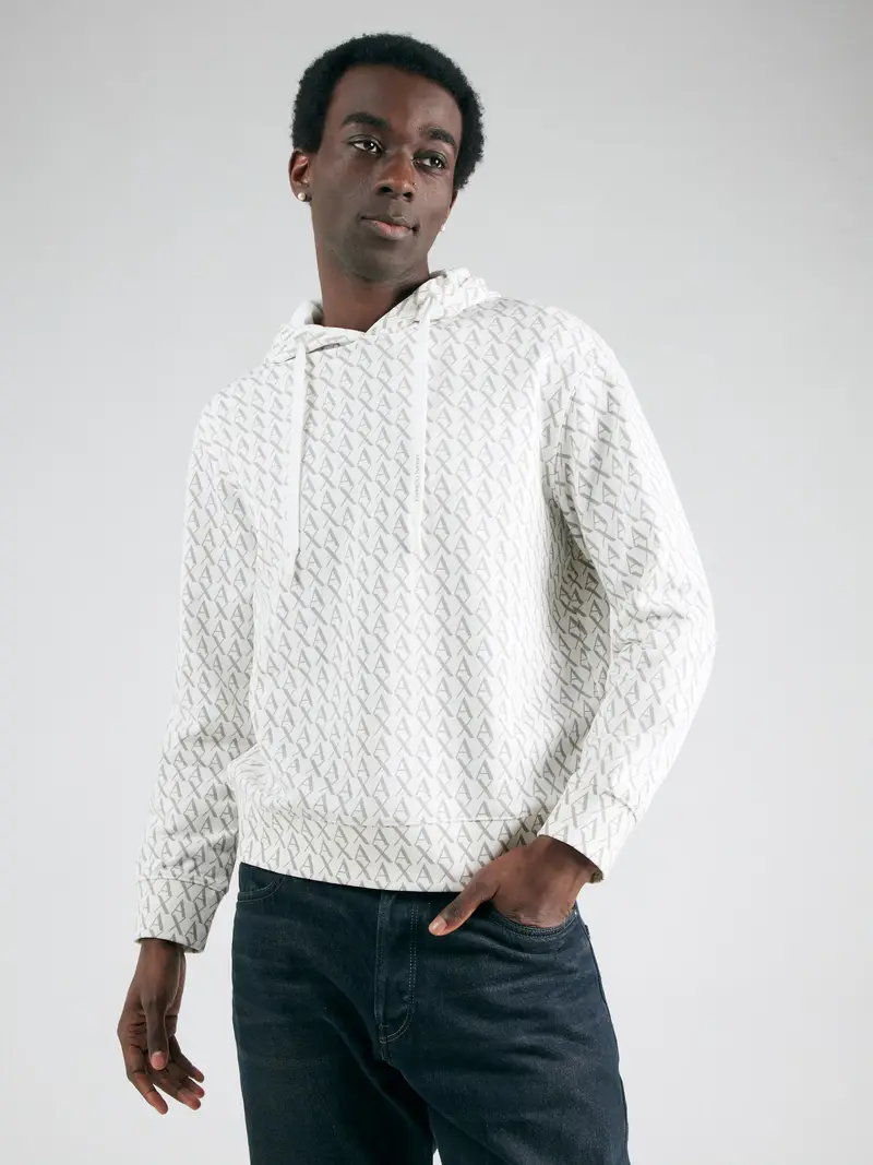 Felpa grigio chiaro / bianco miniatura 2