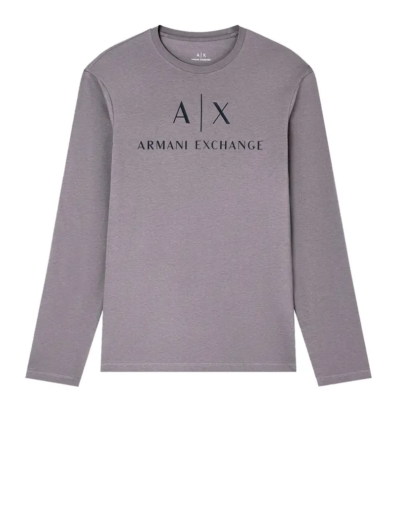 Armani Exchange T-shirt Uomo Grigio 3472025