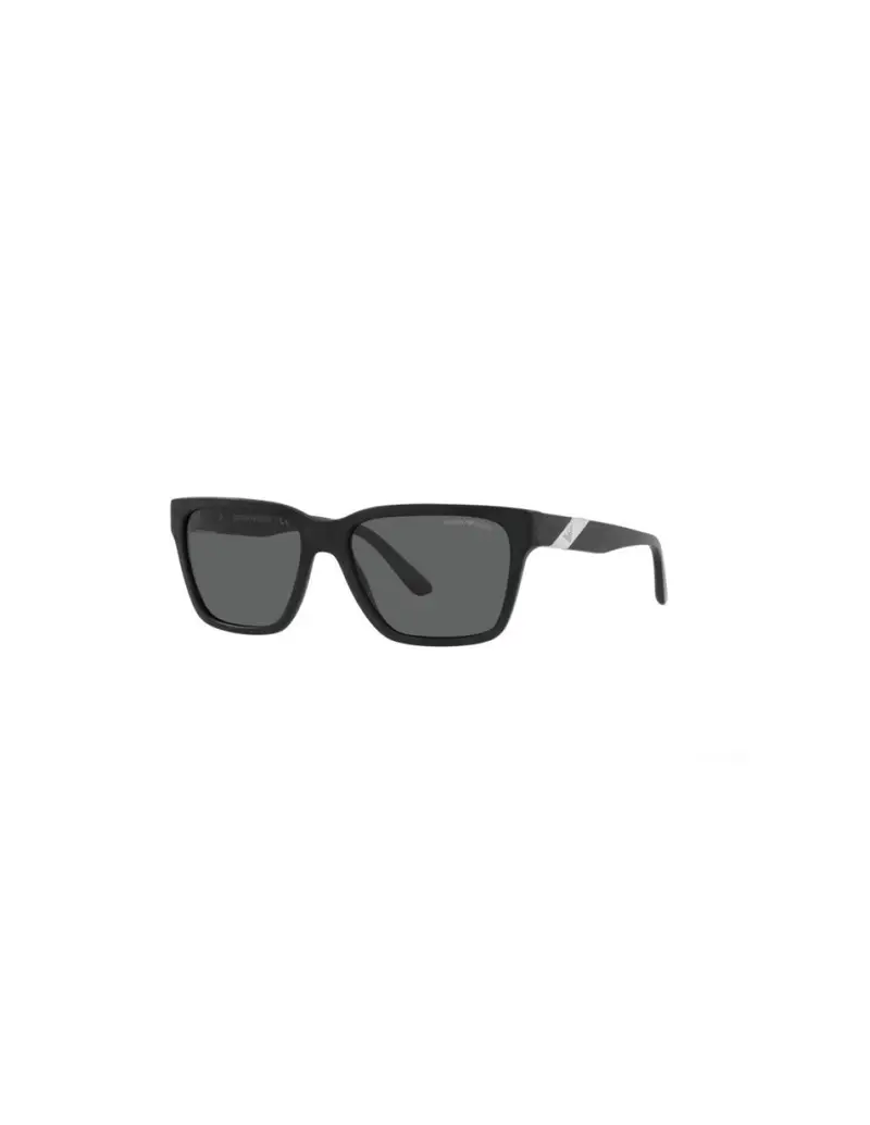 Occhiali da sole EMPORIO ARMANI EA4177 589887 57 Black