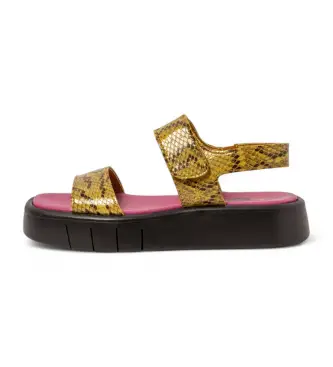 per donna 11854F4XT003_024 Sandali in pelle 1854F Malaga giallo (36), 3 a 5cm, Velcro, Casual