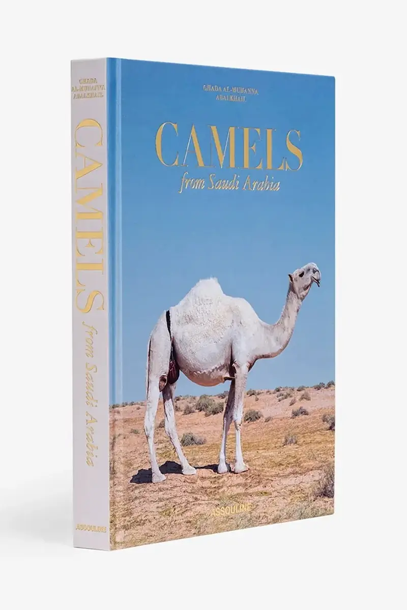 libro Camels from Saudi by Ghada AlMuhanna Abalkhail, English Multicolore miniatura 2