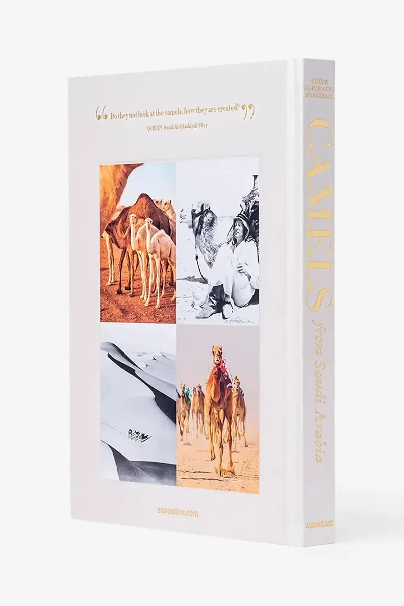 libro Camels from Saudi by Ghada AlMuhanna Abalkhail, English Multicolore miniatura 3