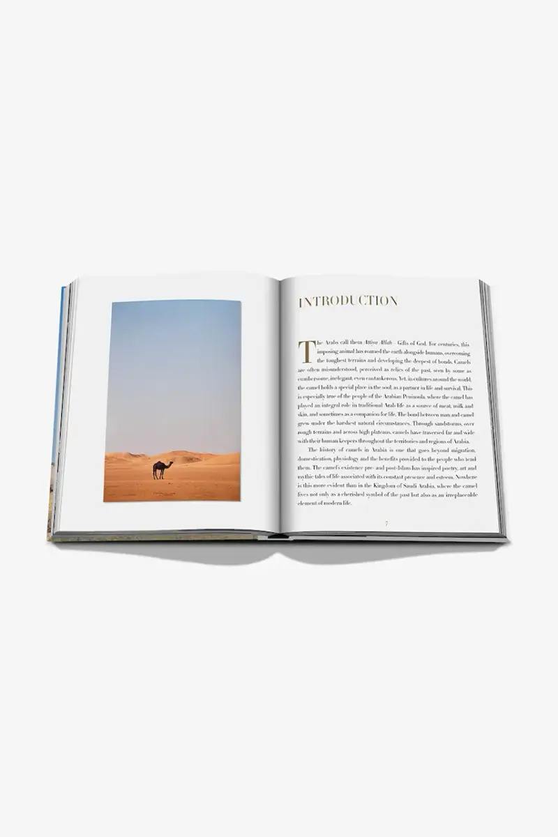 libro Camels from Saudi by Ghada AlMuhanna Abalkhail, English Multicolore miniatura 4