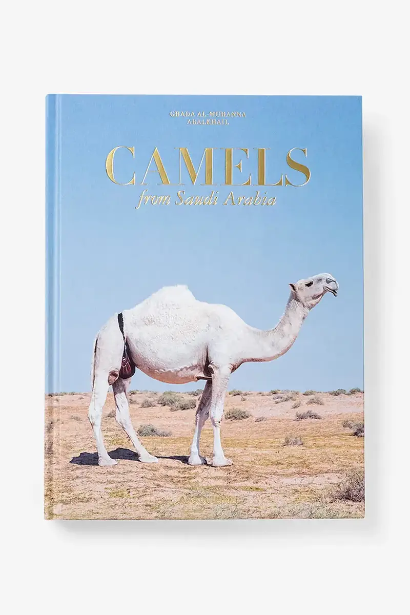libro Camels from Saudi by Ghada AlMuhanna Abalkhail, English Multicolore