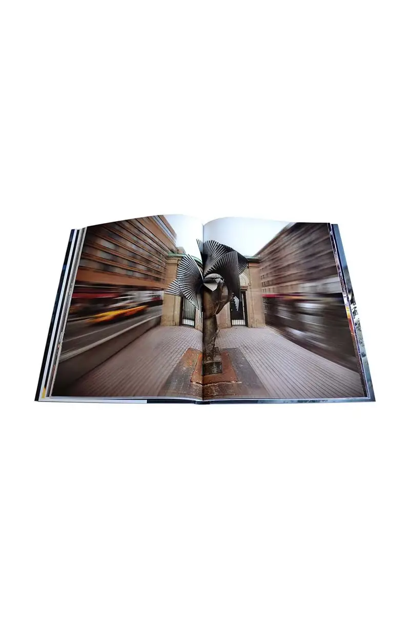 libro Manolo Valdes Broadway by James T. Murray, English Multicolore miniatura 4