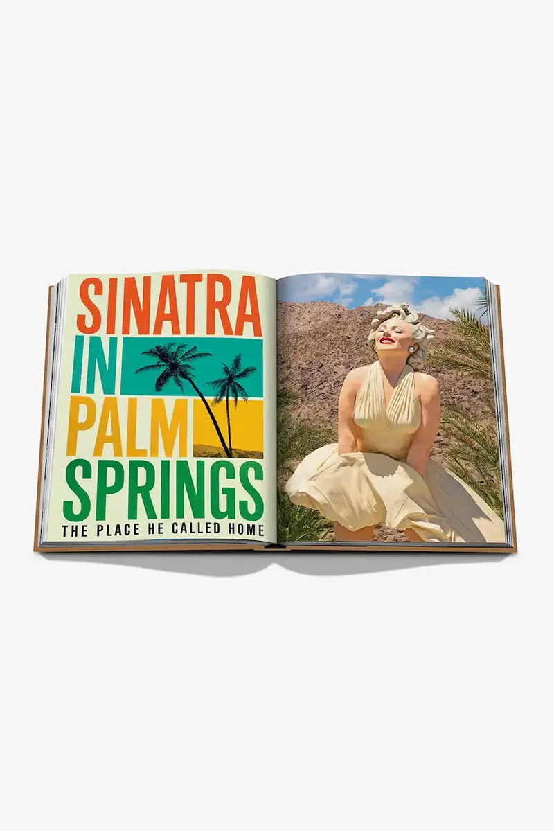 libro Palm Springs by Sheila Hamilton, English Multicolore miniatura 5
