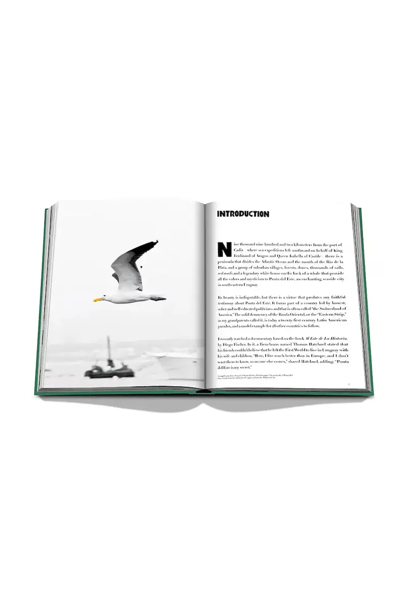 libro Punta Del Este by Bony Bullrich, English Multicolore miniatura 4