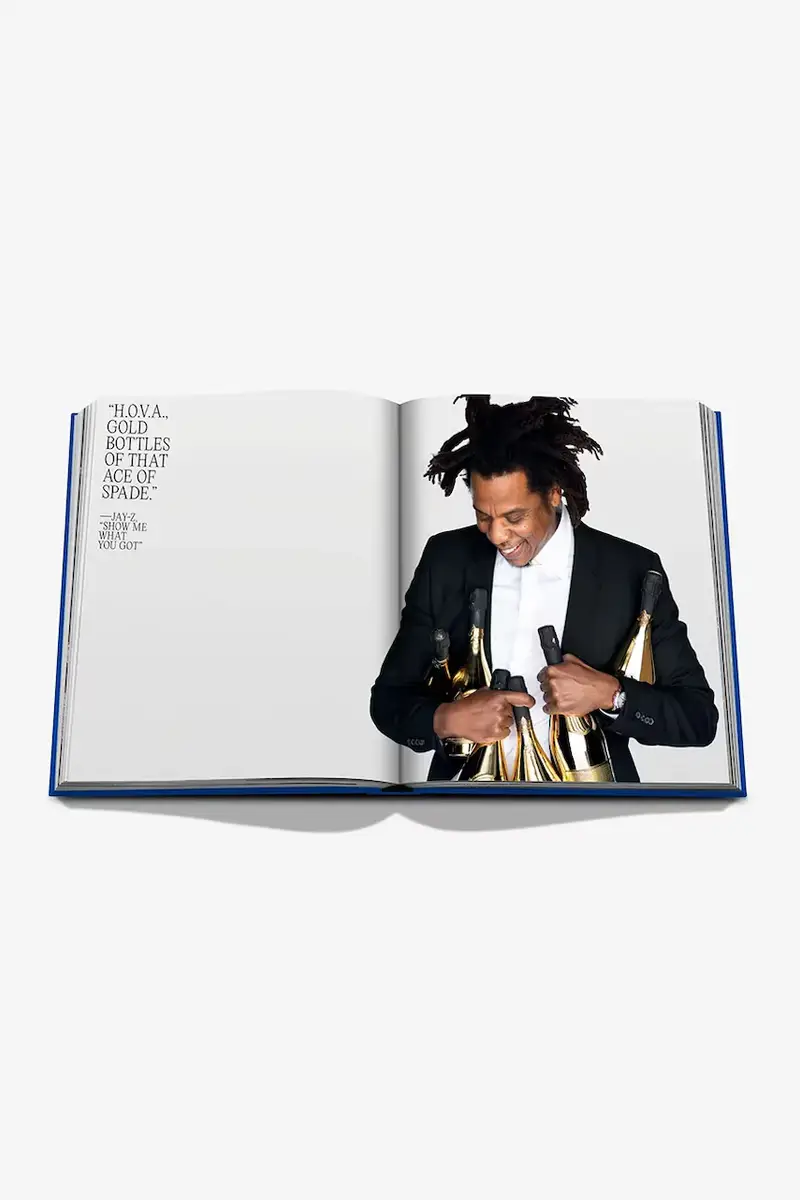 libro The Book of Hov A Tribute to Jay-Z, Collectif, English Multicolore miniatura 4