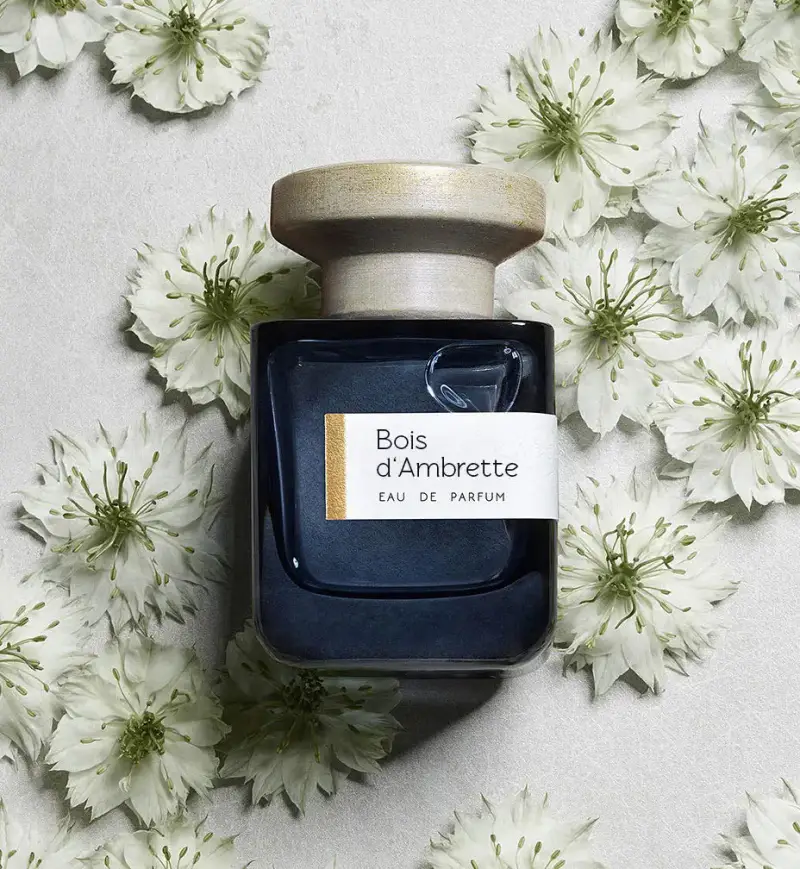 Bois d'Ambrette - 100 ml eau de parfum