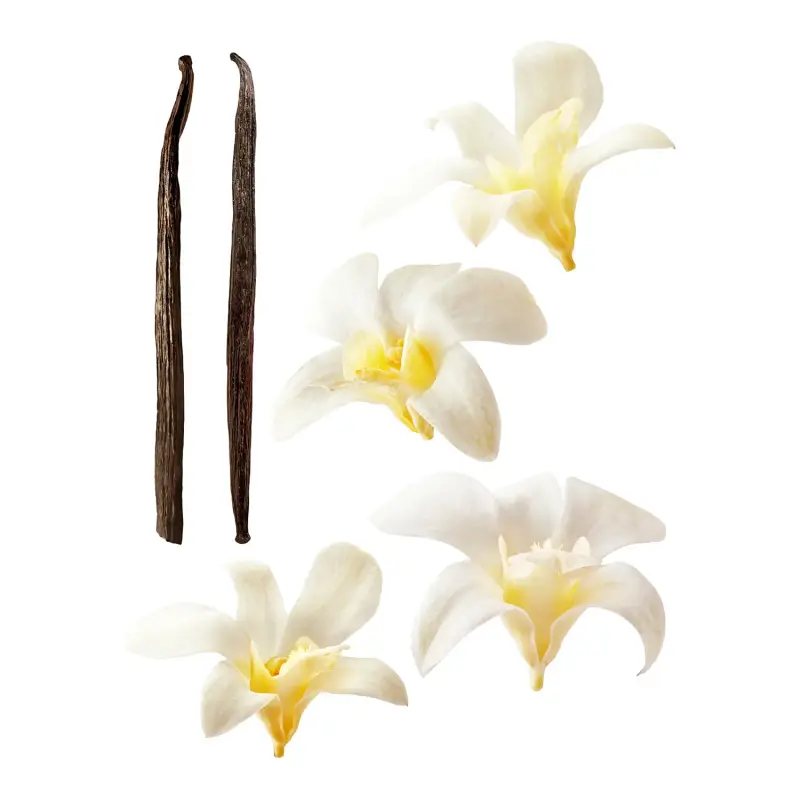 Fragrance Juices Far Away Beyond The Moon Parfum - Profumi donna miniatura 5