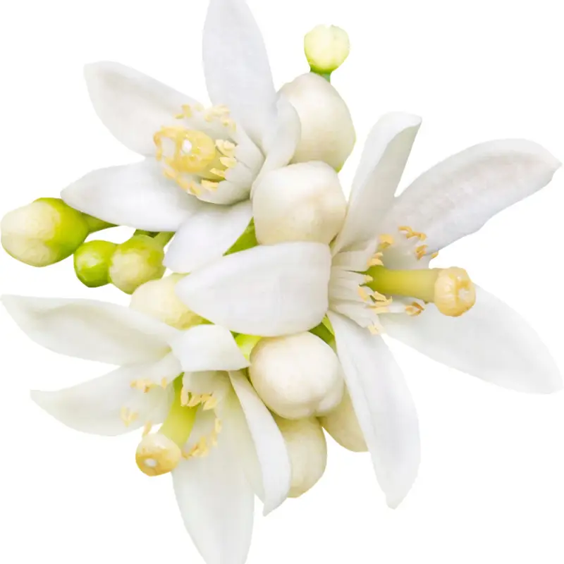 Avon Eau de Parfum Donna 3043772 miniatura 3