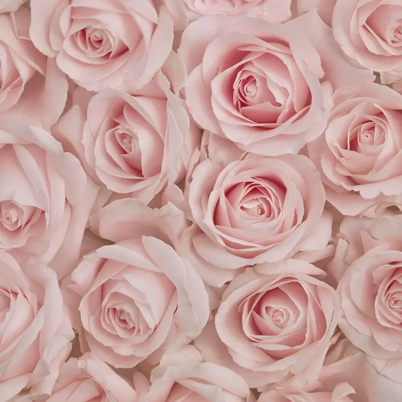 Avon Eau de Parfum Donna Bianco 3043774 miniatura 4