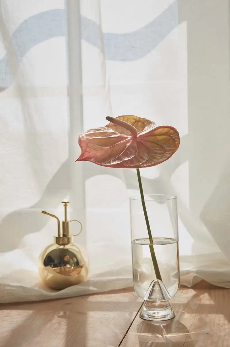 annaffiatoio Giallo miniatura 2