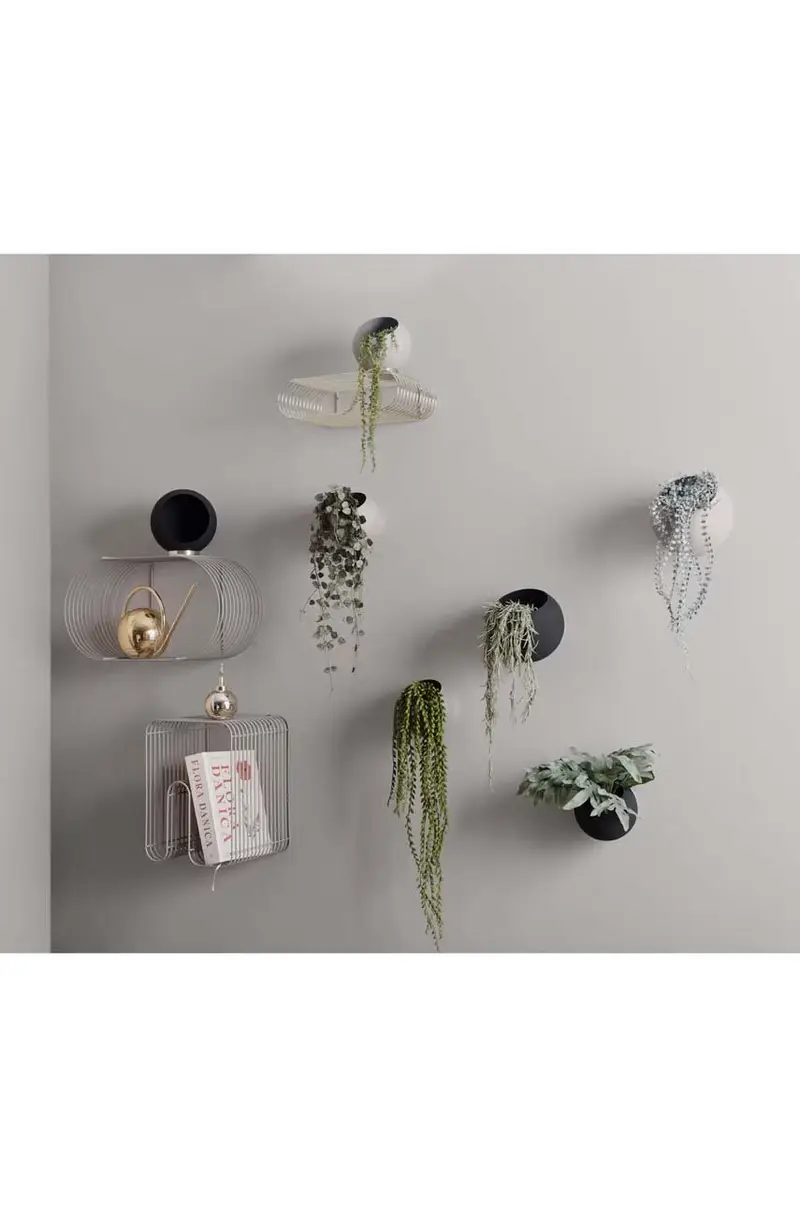 vaso per i fiori da parete Globe Multicolore miniatura 2