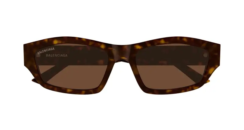 Unisex BB0448SK 002 Occhiali da sole Acetato Havana Marrone Geometrica miniatura 2