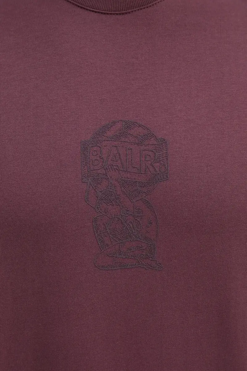 BALR T-shirt Uomo Multicolore 3324527 miniatura 5