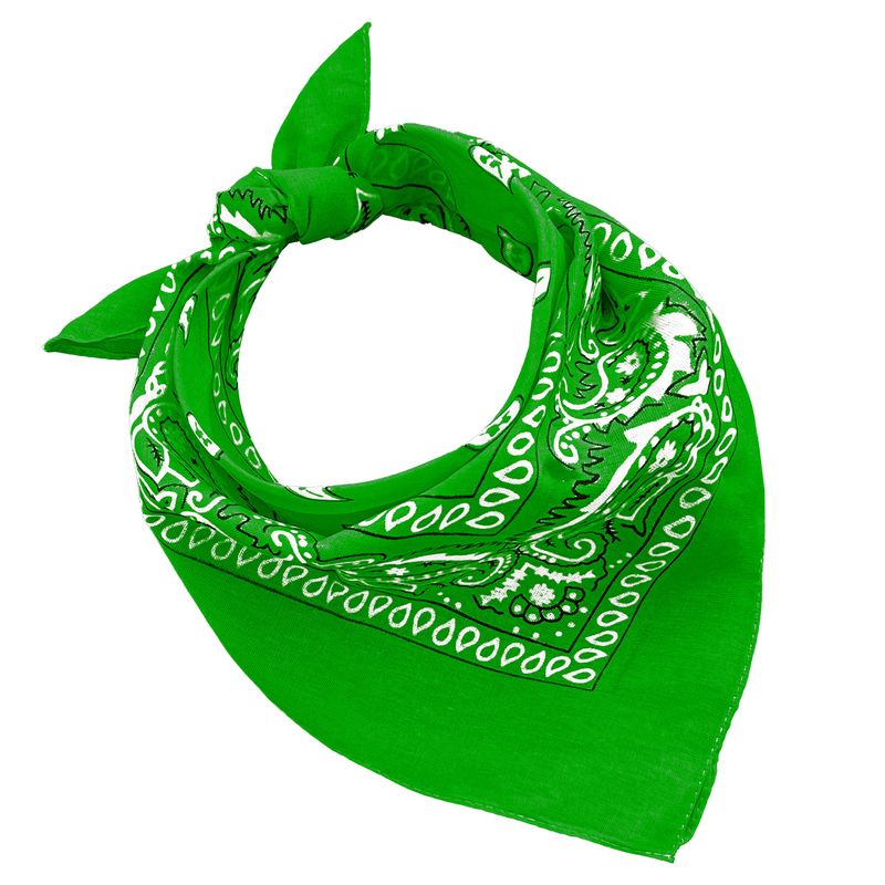 JOPHY & CO. Bandana Paisley Verde