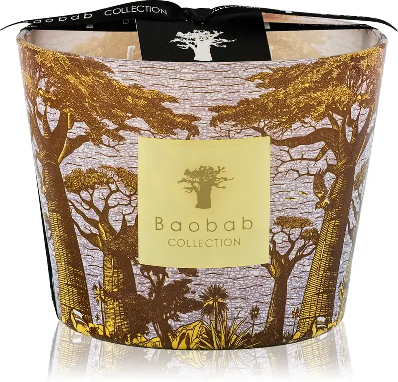 Sacred Trees Cocody candela profumata 10 cm