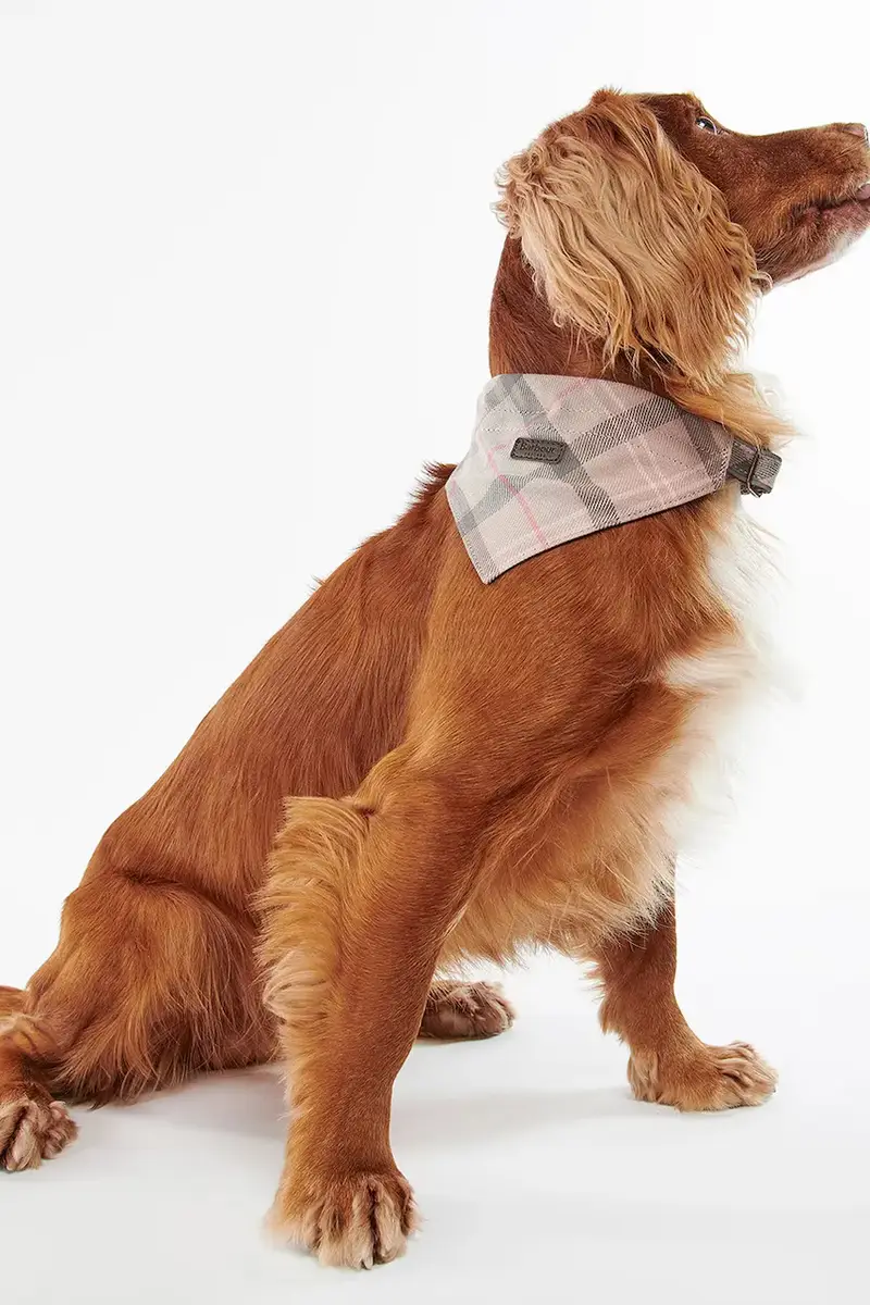 bandana per animale domestico Tartan Dog colore rosa miniatura 3