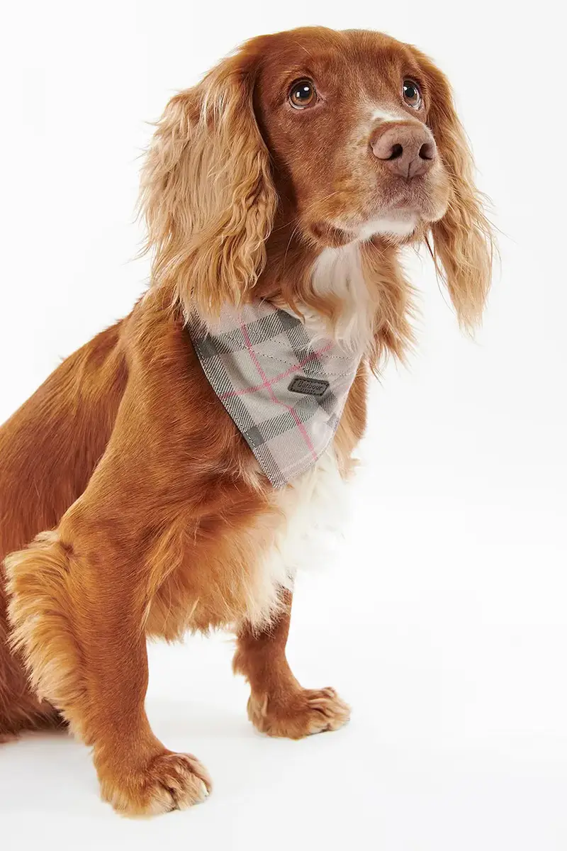 bandana per animale domestico Tartan Dog colore rosa