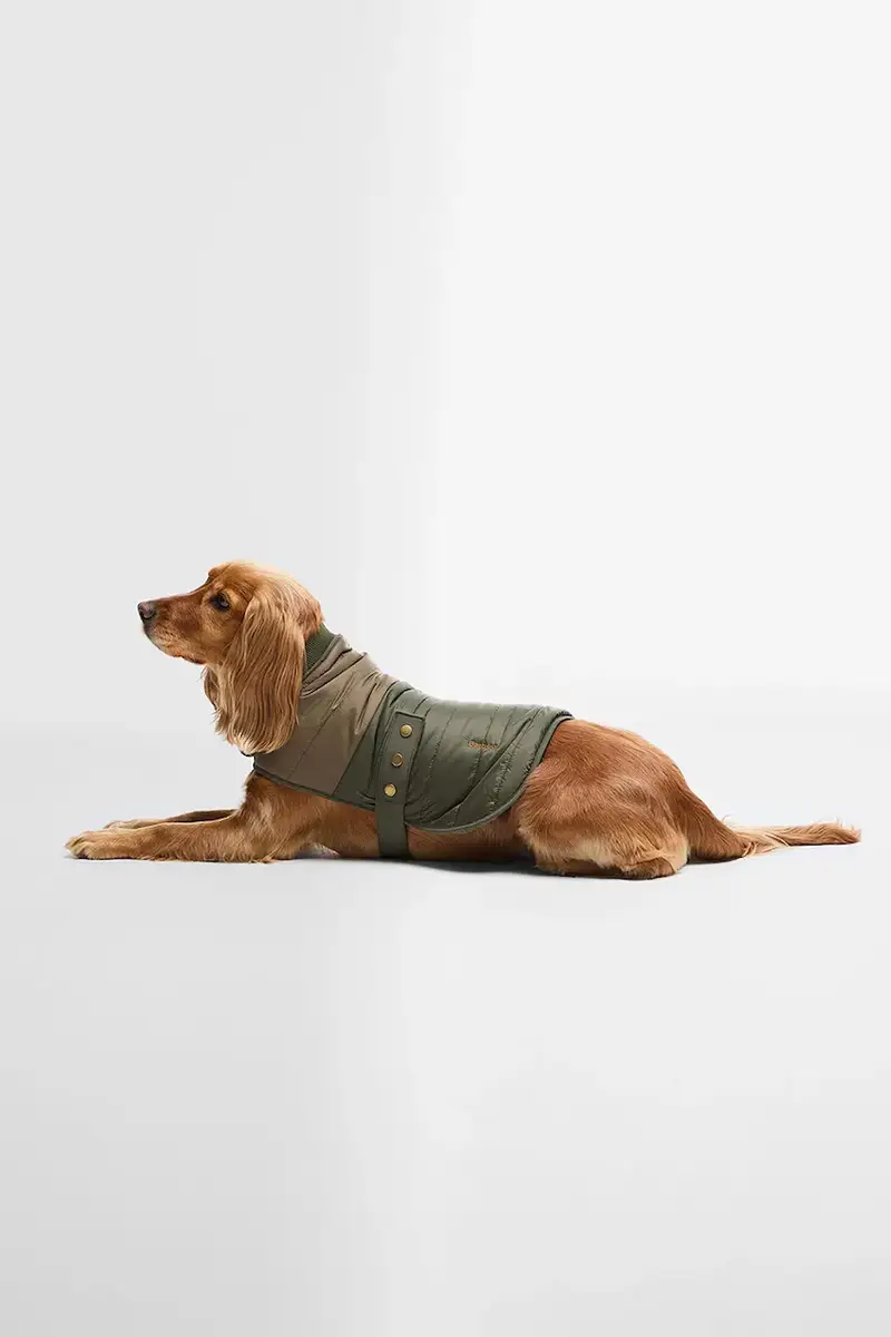 cappotto per cane Brampton Quilted Dog Coat Multicolore
