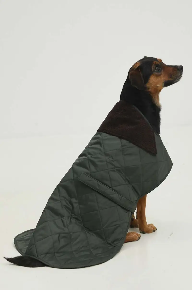 cappotto per cane Multicolore miniatura 3