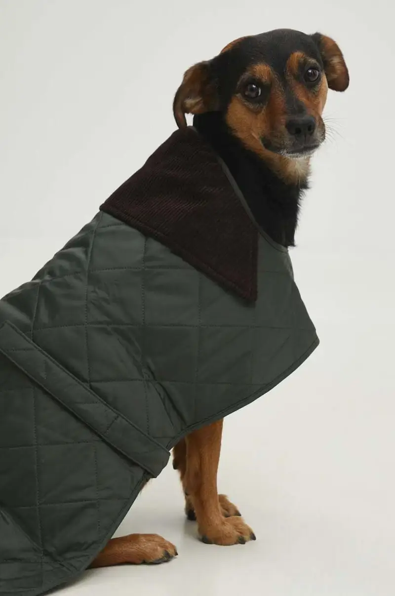 cappotto per cane Multicolore