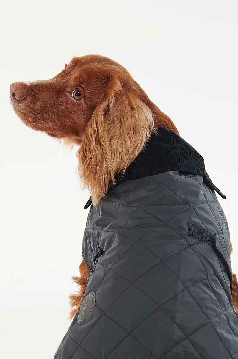 cappotto per cane Nero miniatura 4