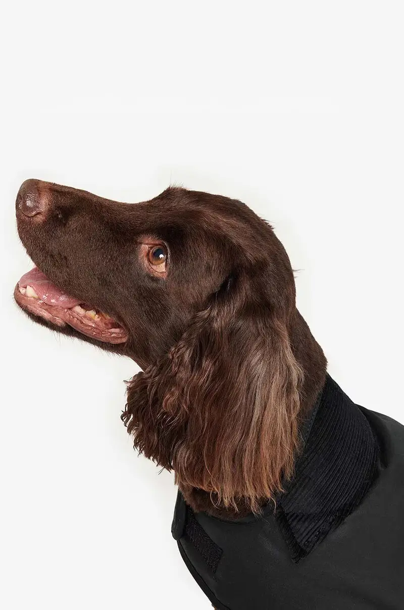 cappotto per cane Nero miniatura 3