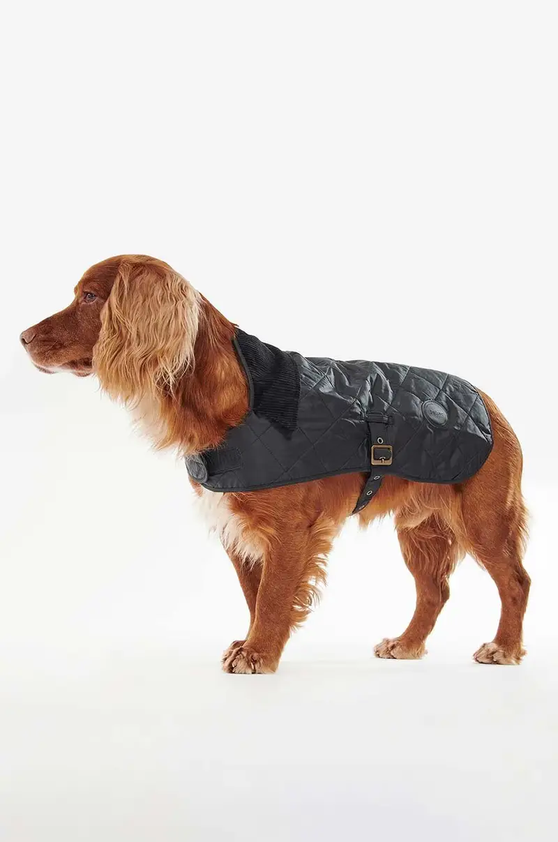 cappotto per cane Nero miniatura 2