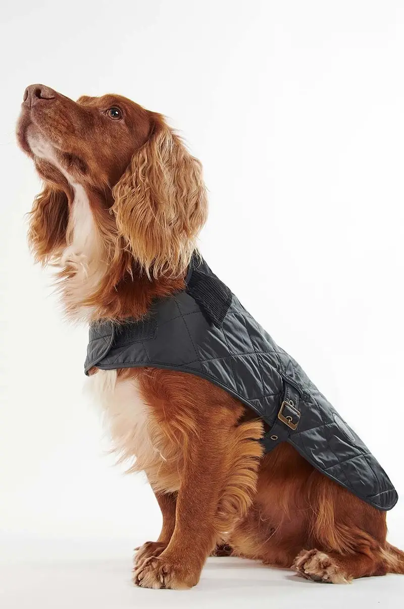 cappotto per cane Nero miniatura 3