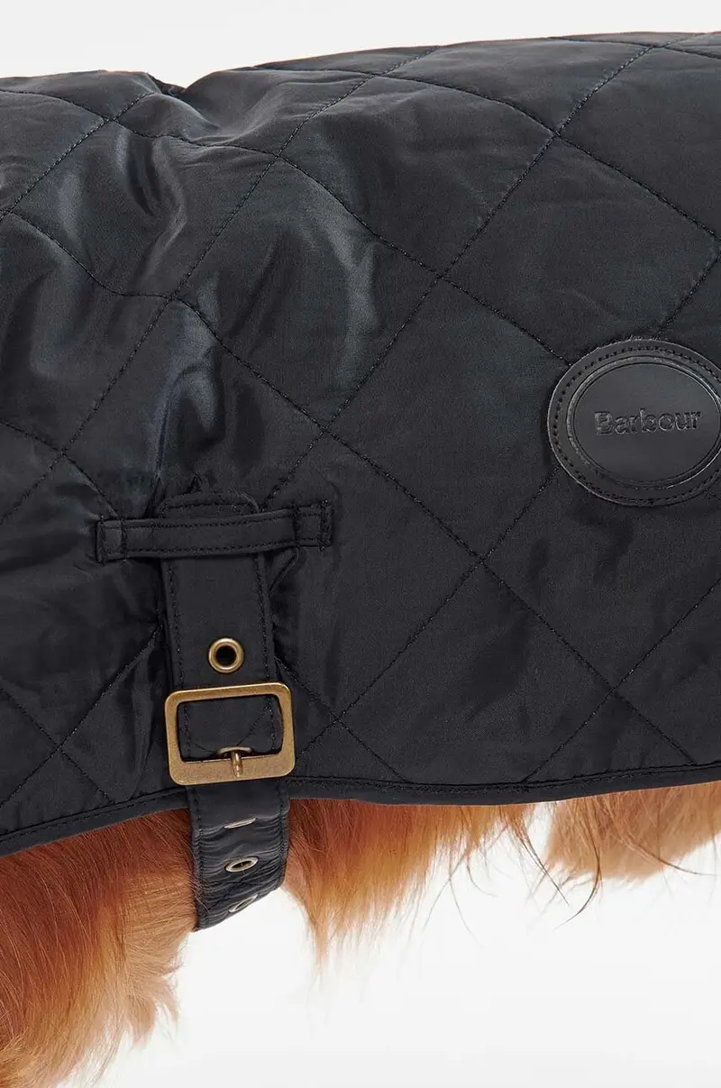 cappotto per cane Nero miniatura 5