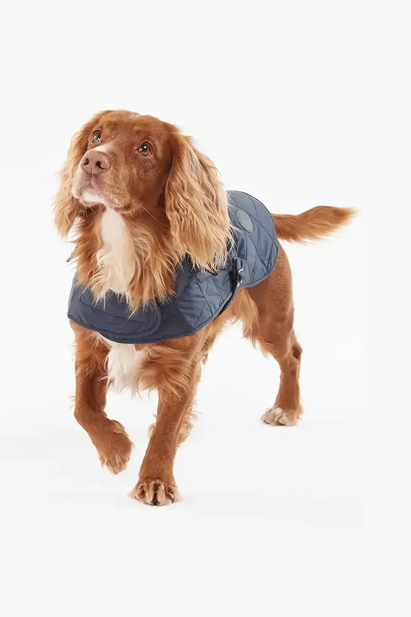 cappotto per cane Quilted Dog Coat colore nero Blu navy miniatura 3