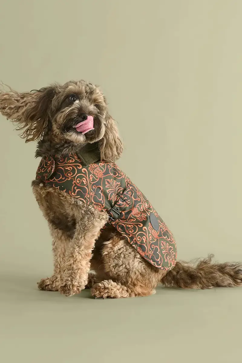 cappotto per cane x Farm Rio Multicolore