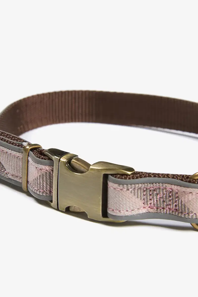 collare per cani colore marrone Multicolore miniatura 2