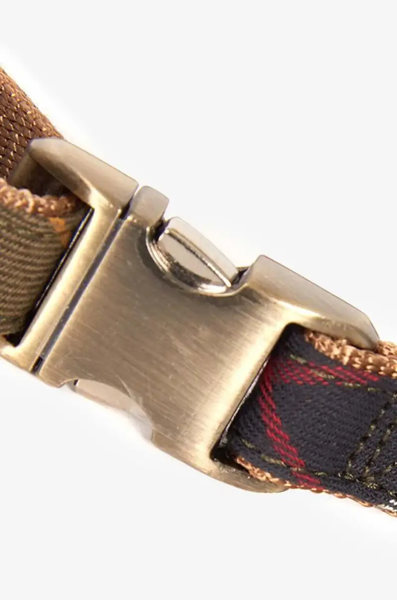 collare per cani Multicolore miniatura 2