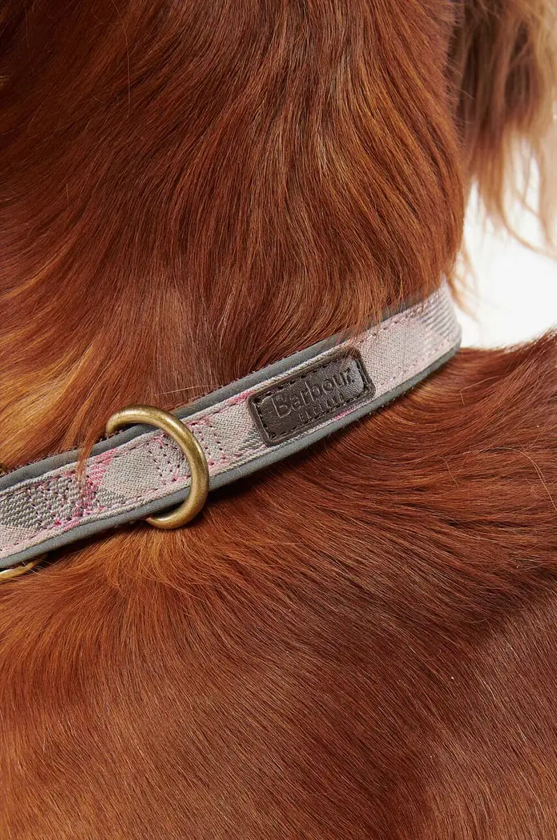 collare per cani Rosa miniatura 4