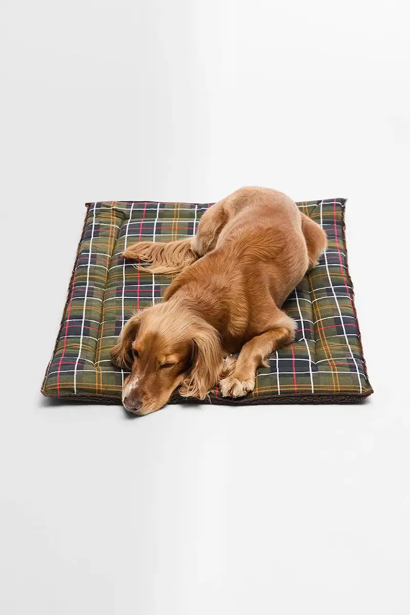 cuccia per animali Multicolore miniatura 2