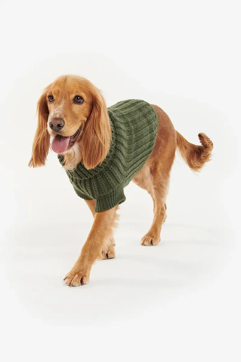 maglia per cane Saltburn Dog Jumper colore verde miniatura 4