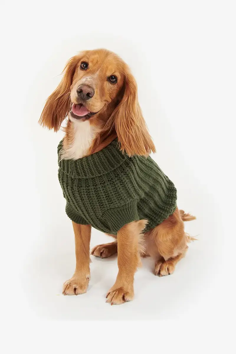 maglia per cane Saltburn Dog Jumper colore verde