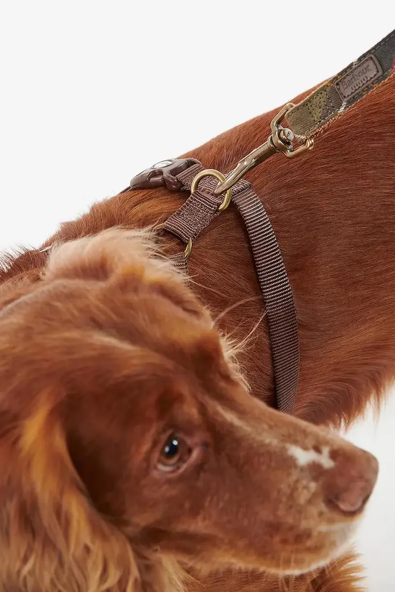 pettorina per cane Travel And Exercise colore marrone miniatura 4