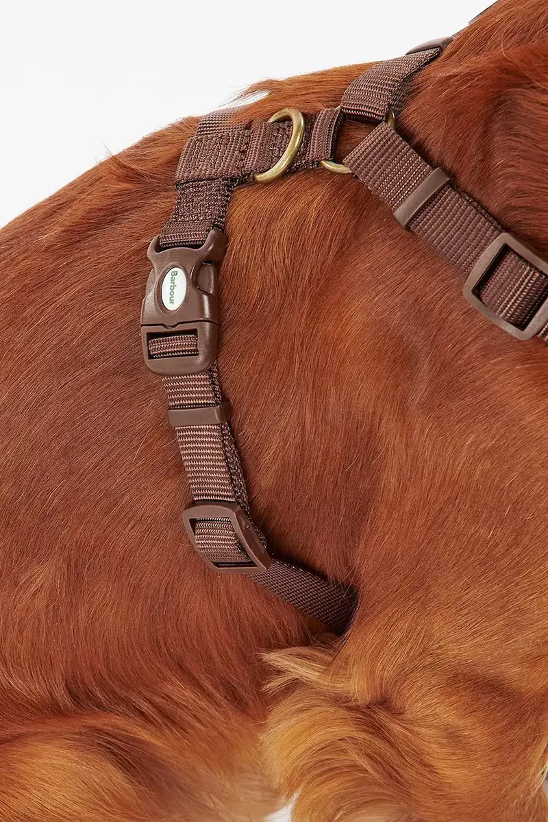 pettorina per cane Travel And Exercise colore marrone miniatura 5