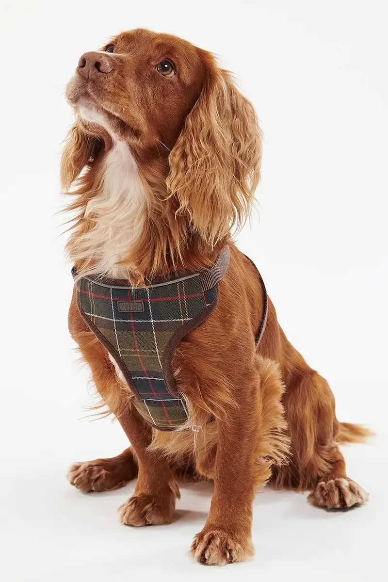 pettorina per cane Travel And Exercise colore marrone