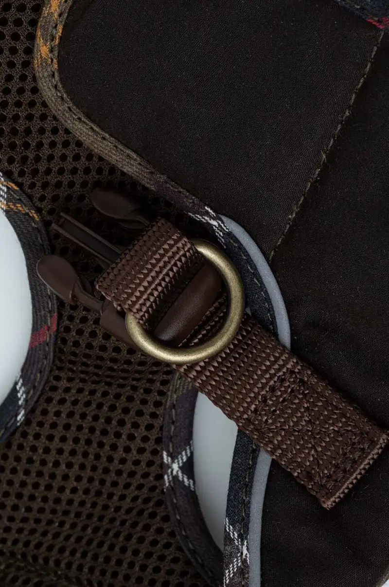 pettorina per cane Verde miniatura 4