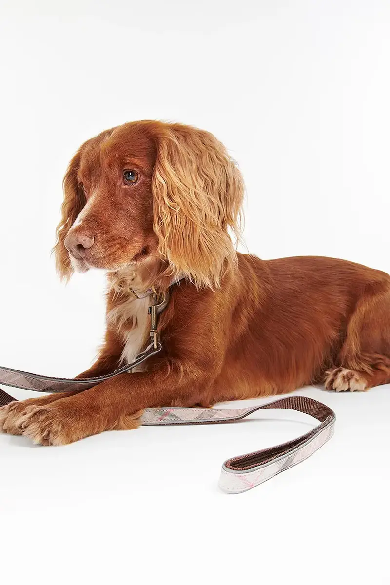 quinzaglio Reflective Tartan Dog 100 cm colore rosa miniatura 2