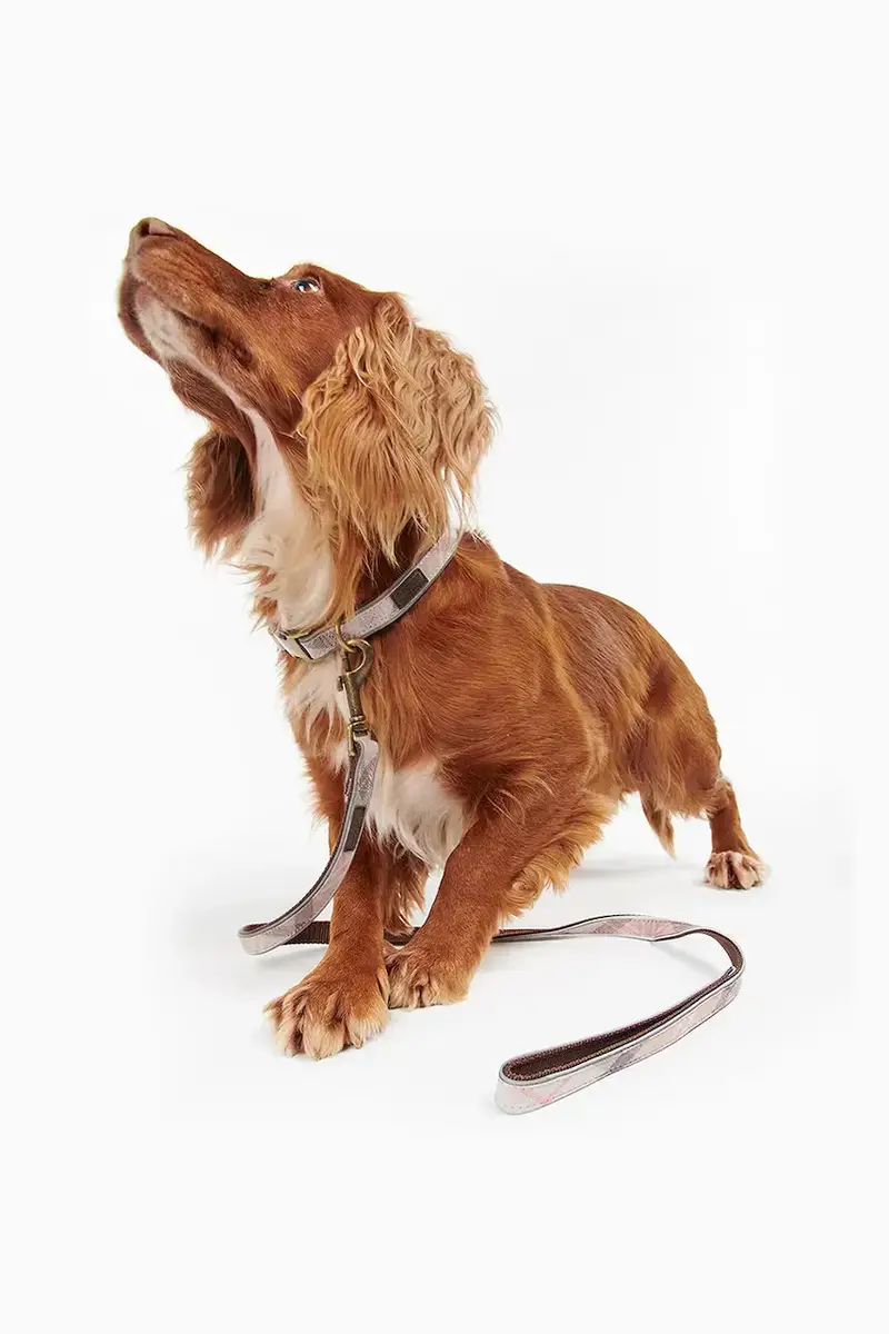 quinzaglio Reflective Tartan Dog 100 cm colore rosa miniatura 3