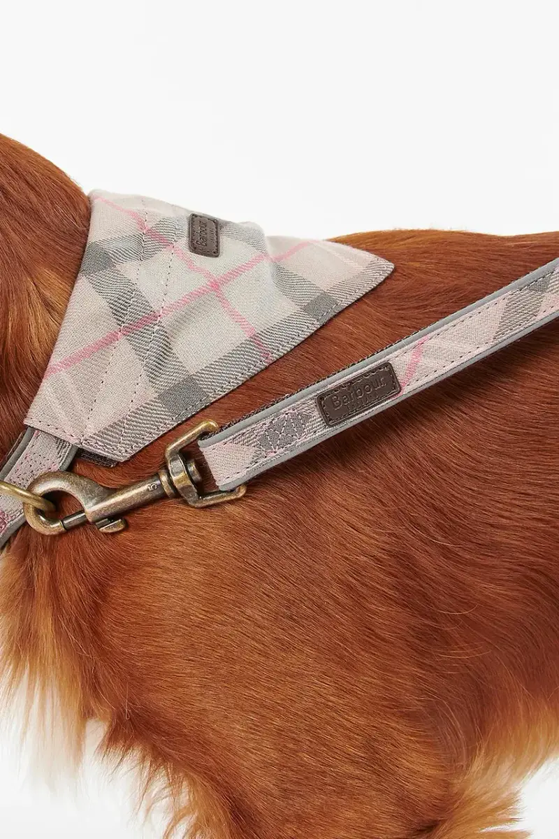 quinzaglio Reflective Tartan Dog 100 cm colore rosa miniatura 4